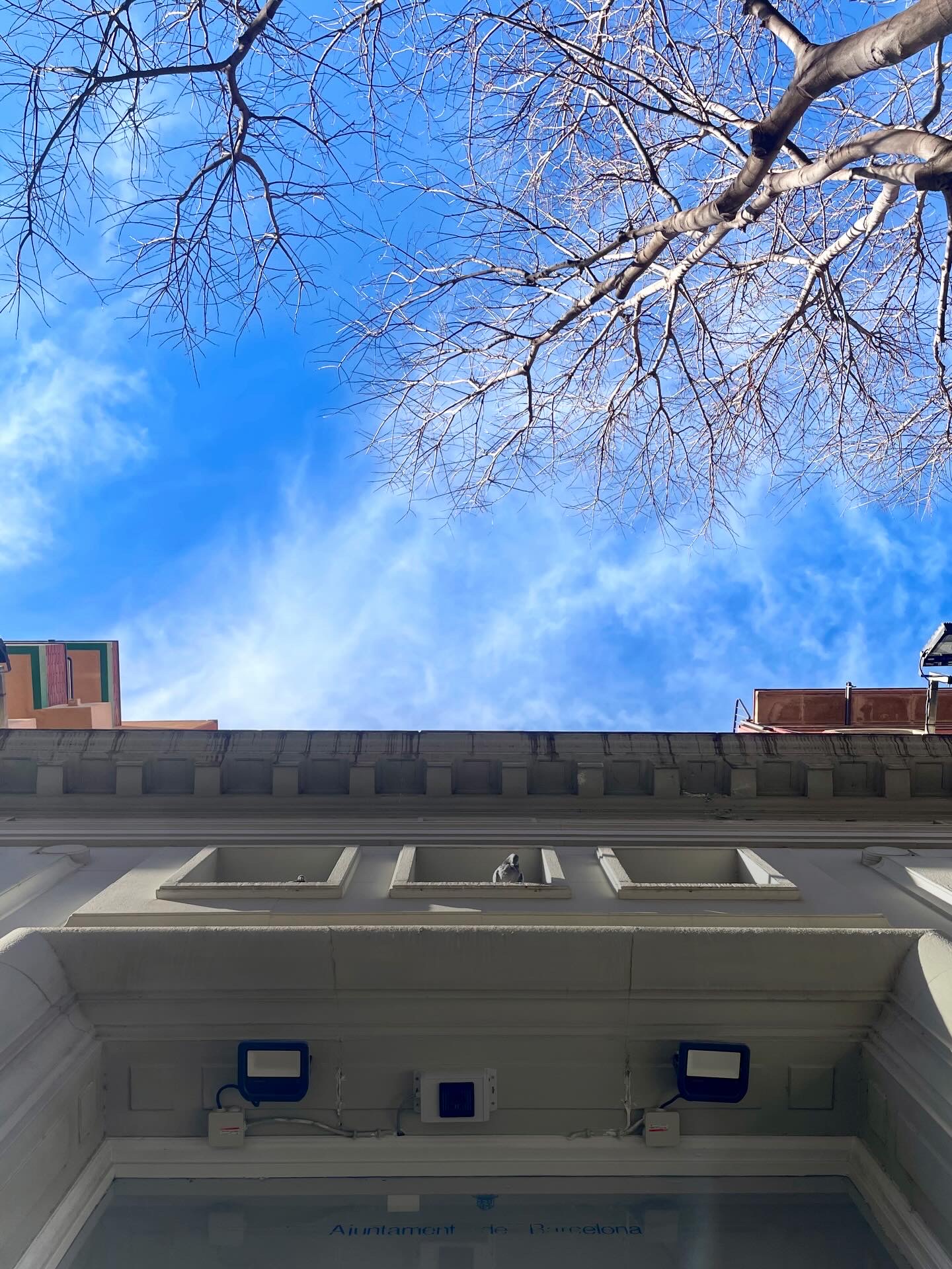 Èxit en el tancament de la convocatòria SAC International Curatorial Residency Program 2026